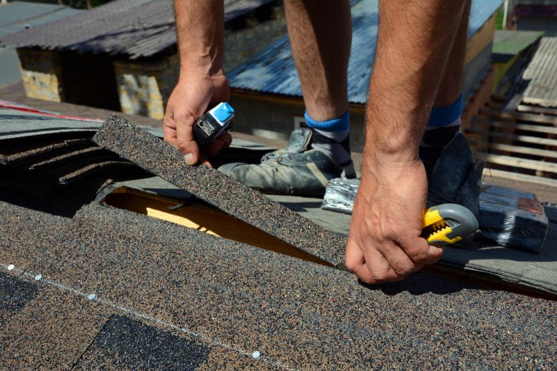 Precision Shingle Replacement